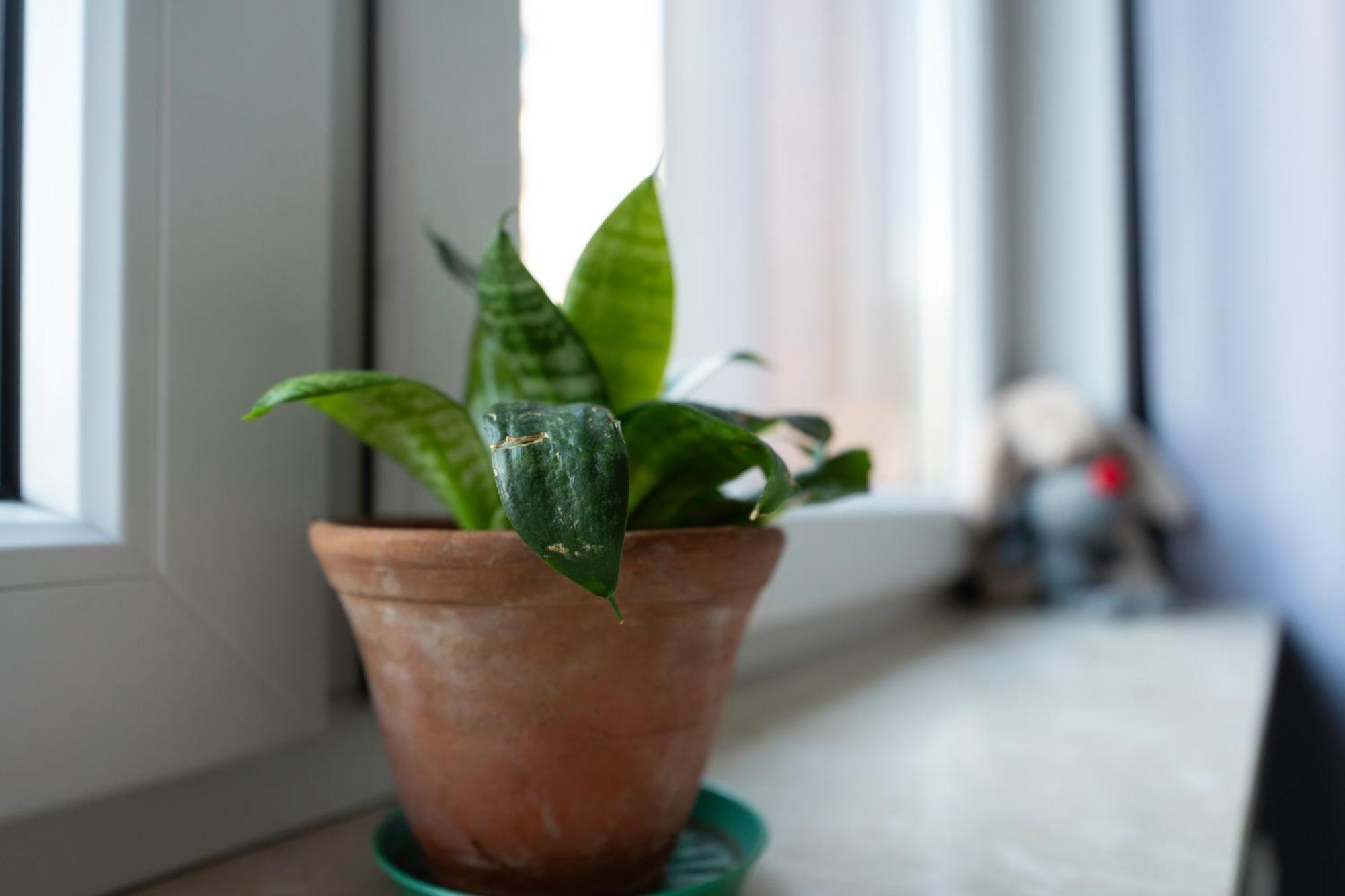 ורשה Airport Residence Green מראה חיצוני תמונה